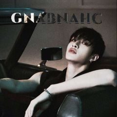 gnabnahc.__ avatar