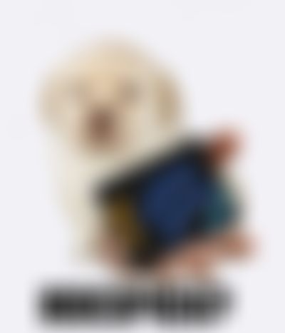Post media background