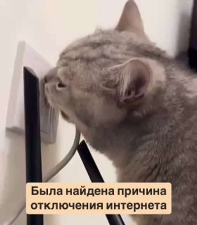 Post media