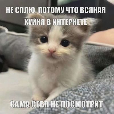 Post media