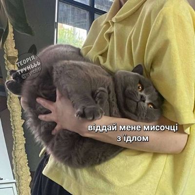 Post media