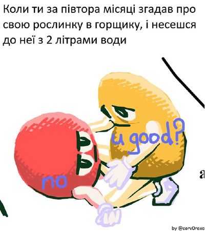 Post media