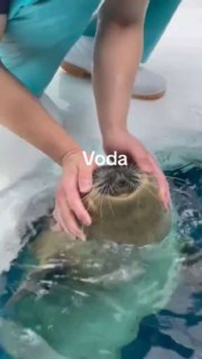 Post media