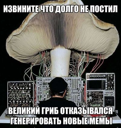 Post media