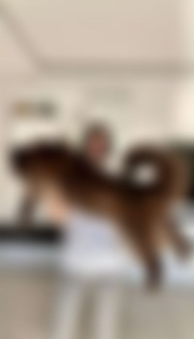 Post media background