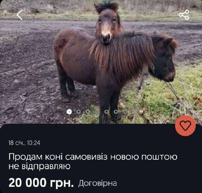 Post media