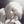 🦢 ⌇ adapter avatar
