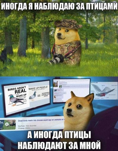 Post media