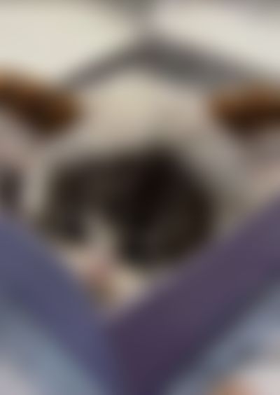 Post media background