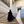 وحِيدة . avatar