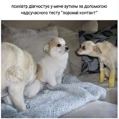 Post media