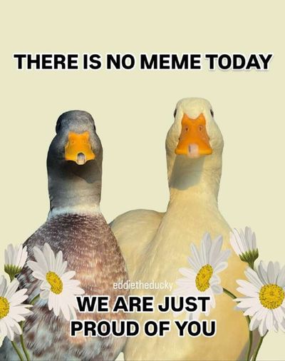 Post media