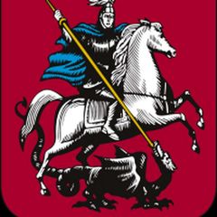 Департамент развития новых территорий города Москвы avatar