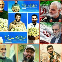 محمد ایمانی | مصاف عقل و جهل avatar