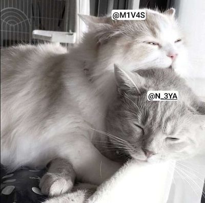 Post media