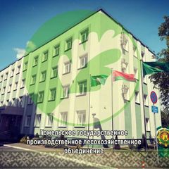 Лесоводы Гомельщины 🌳🌲🌳 avatar