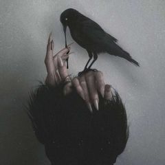 بوفِ کور avatar