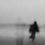- الاسّى . Avatar