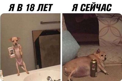 Post media