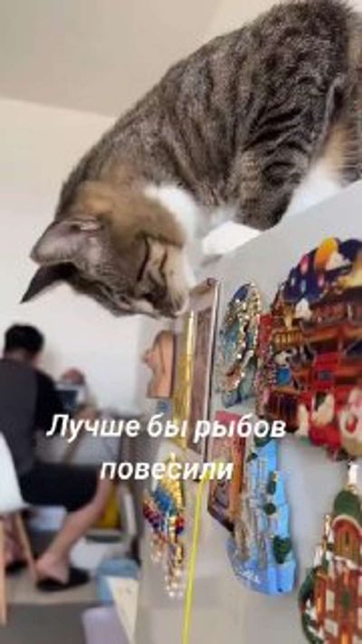 Post media