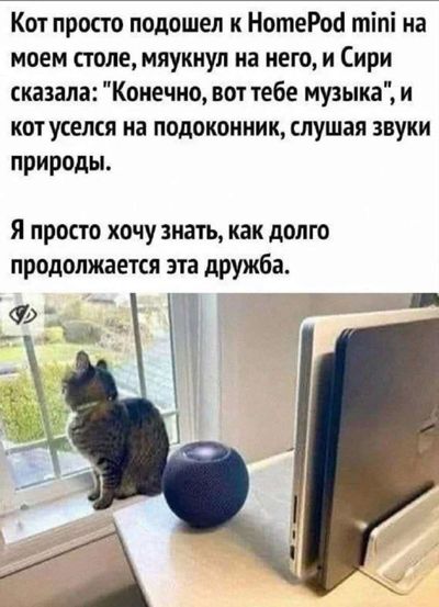 Post media