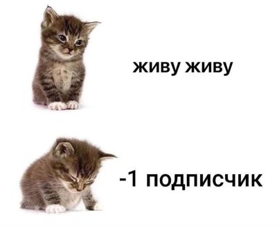 Post media