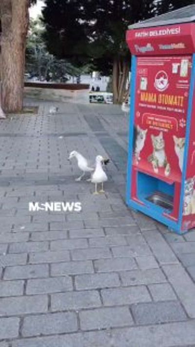 Post media