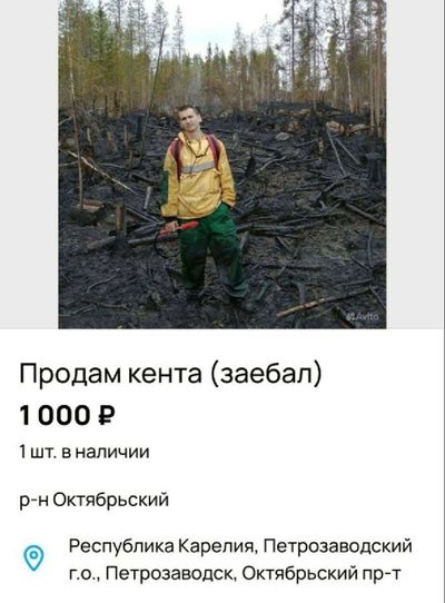 Post media