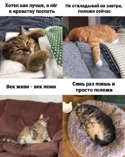 Post media