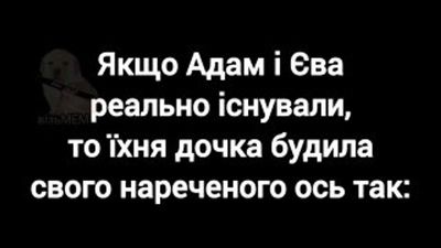Post media