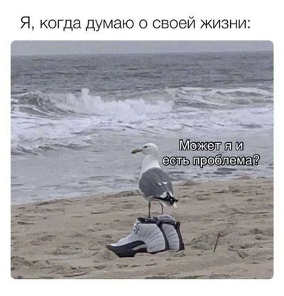 Post media