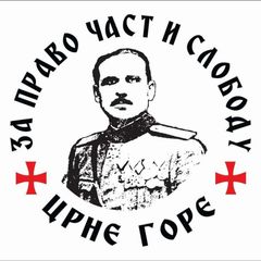 Српска Национална Алијанса avatar
