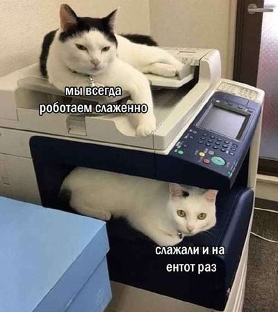 Post media