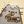 ₊ pusheen confession ! ꕀ avatar