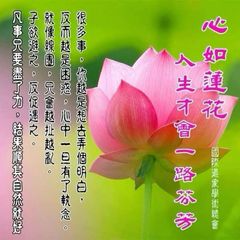 [Info𝒻𝒾𝓁𝒾𝒾🌺] avatar