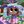 [КОНКУРС НА МАСКОТА]#🪻PlayMD°FialkasWC🪻# avatar