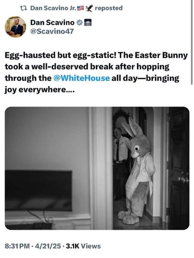 Post media