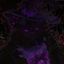 . 𝒜𝗓𝗎𝗋𝖾 𝖼𝗈𝗇𝖿𝖿𝖾𝗌𝗂𝗈𝗇 ; 𝖽𝖺𝗂𝗅𝗒 👾 Avatar