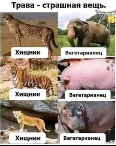 Post media