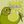 Shadilay - First Pepe in 1986 - PORTAL avatar