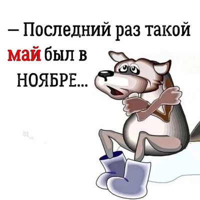 Post media