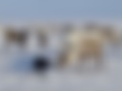 Post media background