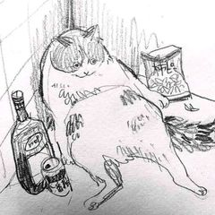 hodo cat avatar