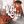 VOUCHES avatar