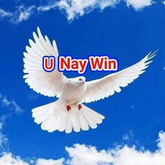 U Nay Win🇲🇲 avatar