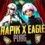 RAPIK x nnEAGLE Avatar