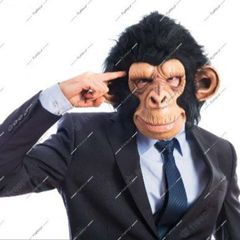 مناقشات یک ذهن دیوانه avatar