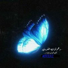 دليَل دعِم فراشهِ . avatar