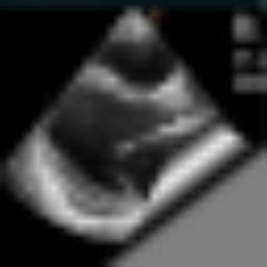 Doctor-Soft Echo News avatar