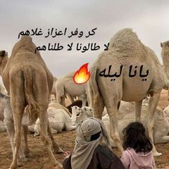يانا ليله 🔥 avatar